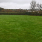 Hedge trimmer Bucklandbrewer