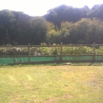 after garden clearance parkham