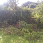 Before garden clearance Parkham, Devon